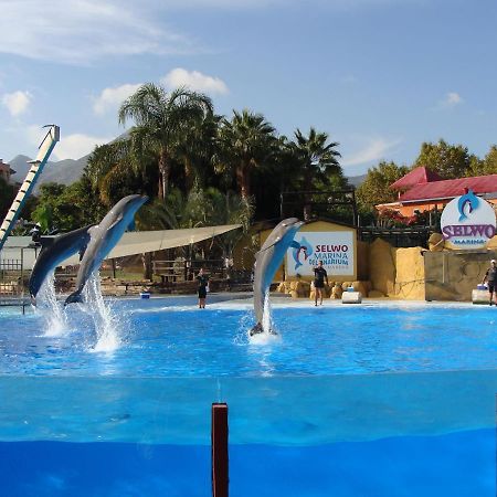 Minerva Paradise Benalmadena Luaran gambar