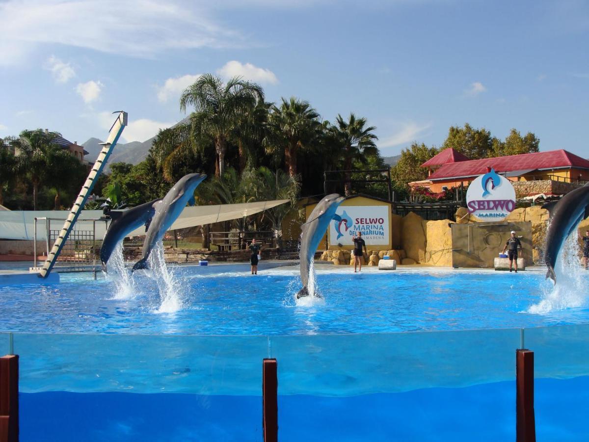 Minerva Paradise Benalmadena Luaran gambar